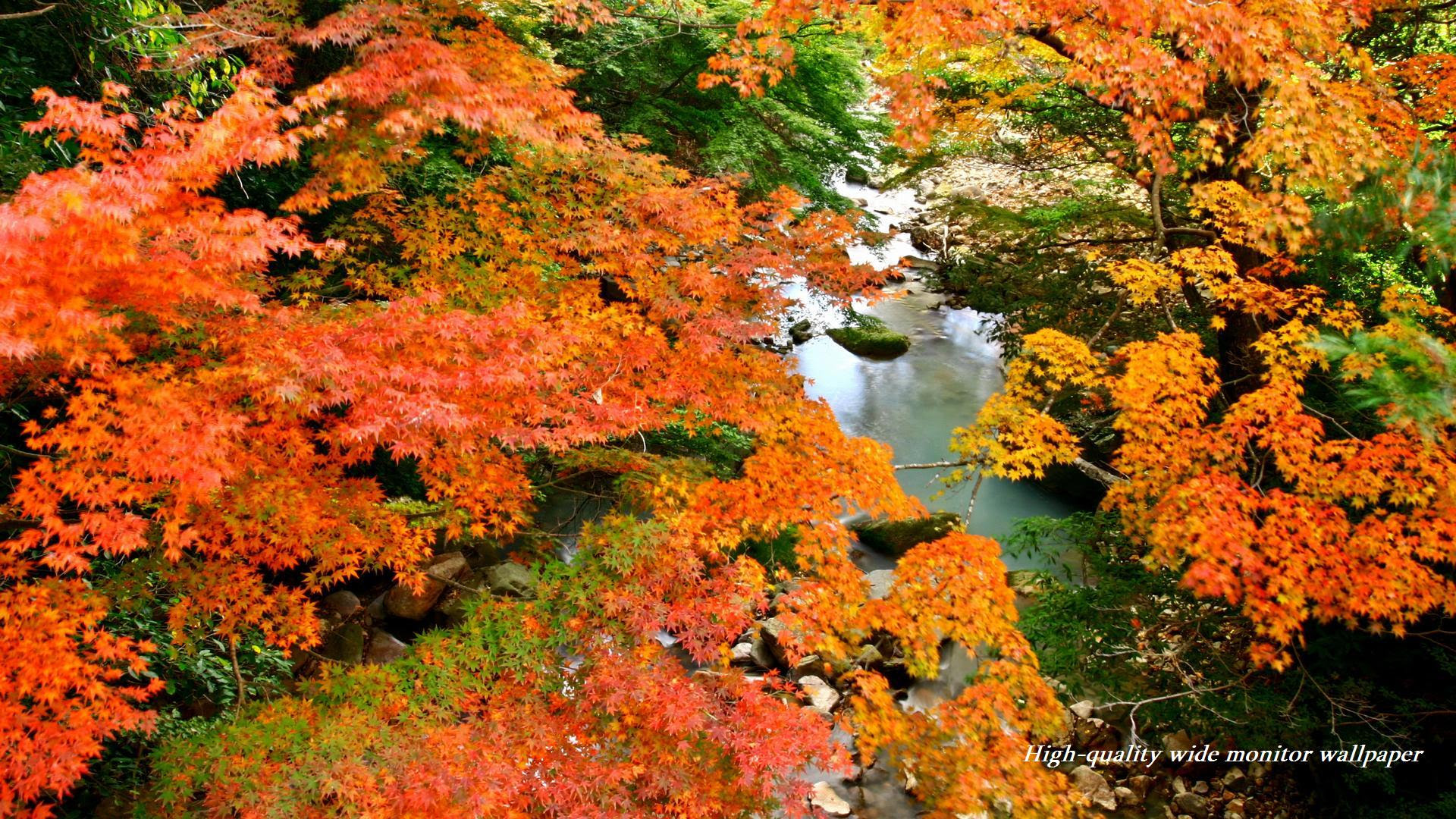 丸尾温泉郷の紅葉をモチーフにしましたワイドモニター専門高画質壁紙 アスペクト比１６ ９ 19 1080 秋の風景 自然風景 花 景色