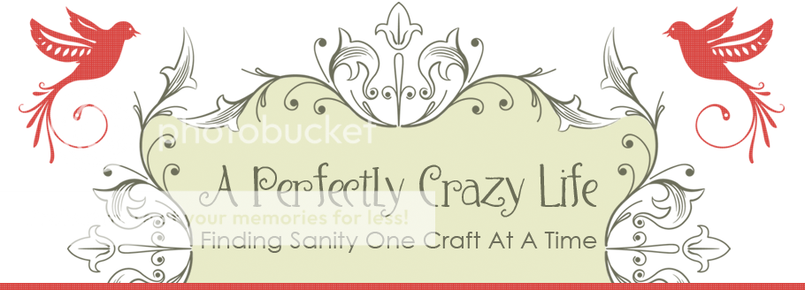 A Perfectly Crazy Life