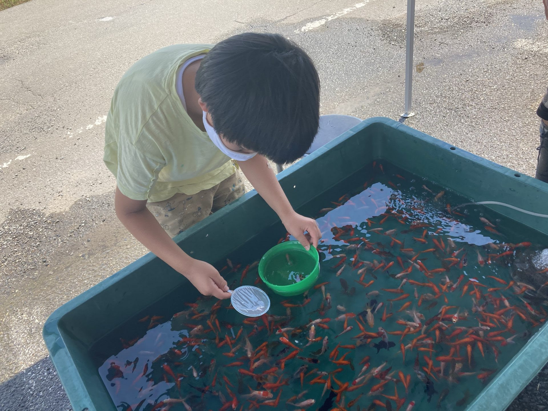 川島町で金魚すくい 川島つり堀 貧乏お父さんの食べ歩きブログ