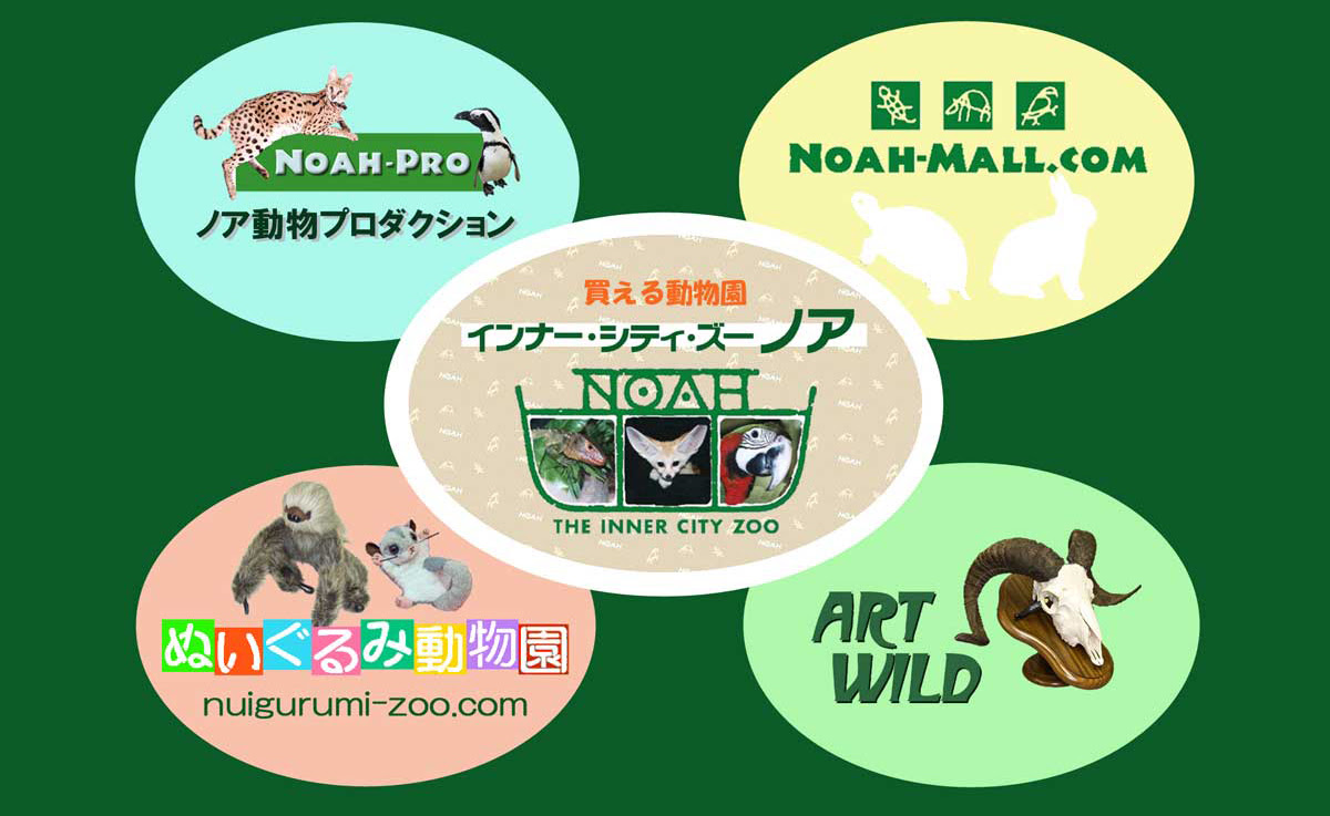 インナー シティ ズー ノア