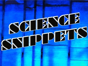 ScienceSnippets