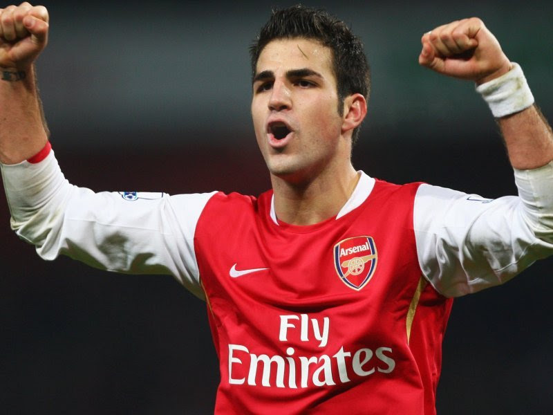 Cesc Fabregas Picture