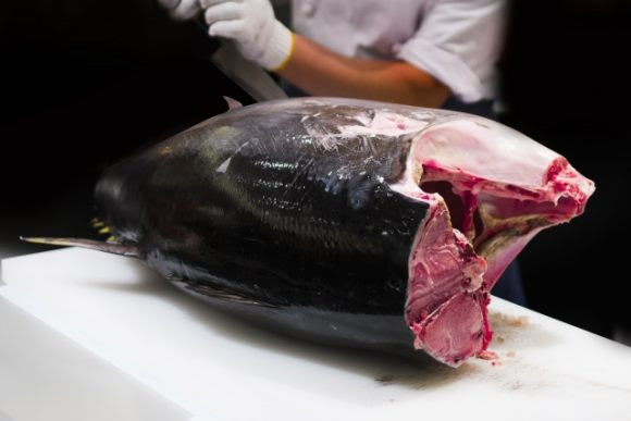 マグロのトロ クロマグロ 1さく 150g のカロリーと糖質は 栄養成分も解説 お役立ち 季節の耳より情報局