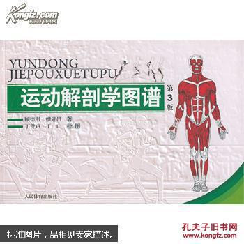 运动解剖学图谱 孔夫子旧书网