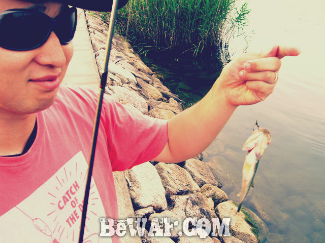 setagawa bass turi chouka 6