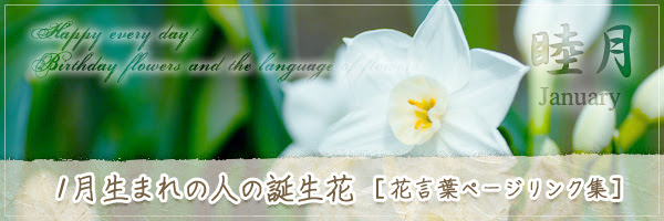 1月生まれの人の誕生花 の花言葉 誕生花 チルの工房 无域屋 花札庵