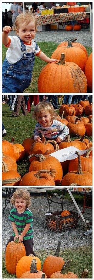 pumpkin harvest hugo