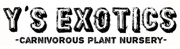 Y S Exotics 山田食虫植物農園 通販 販売 輸入代行