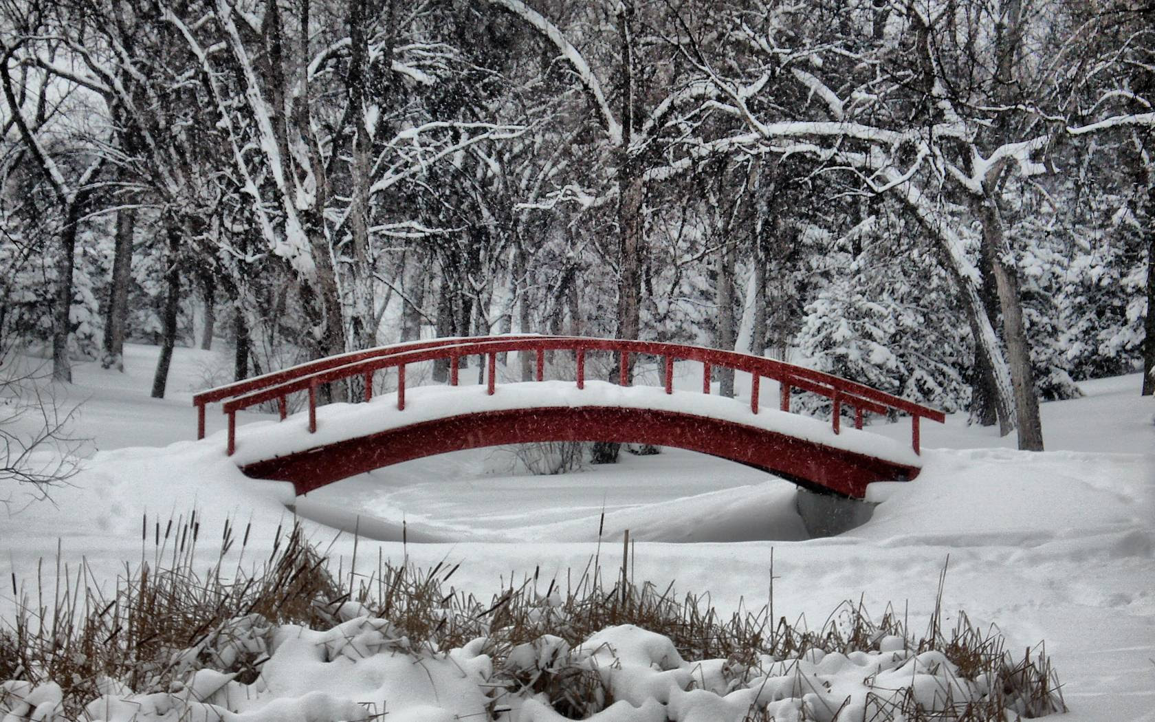 Winter Wonderland Backgrounds - Wallpaper Cave