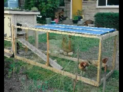 Chicken coop plans pdf download designs on how to build 