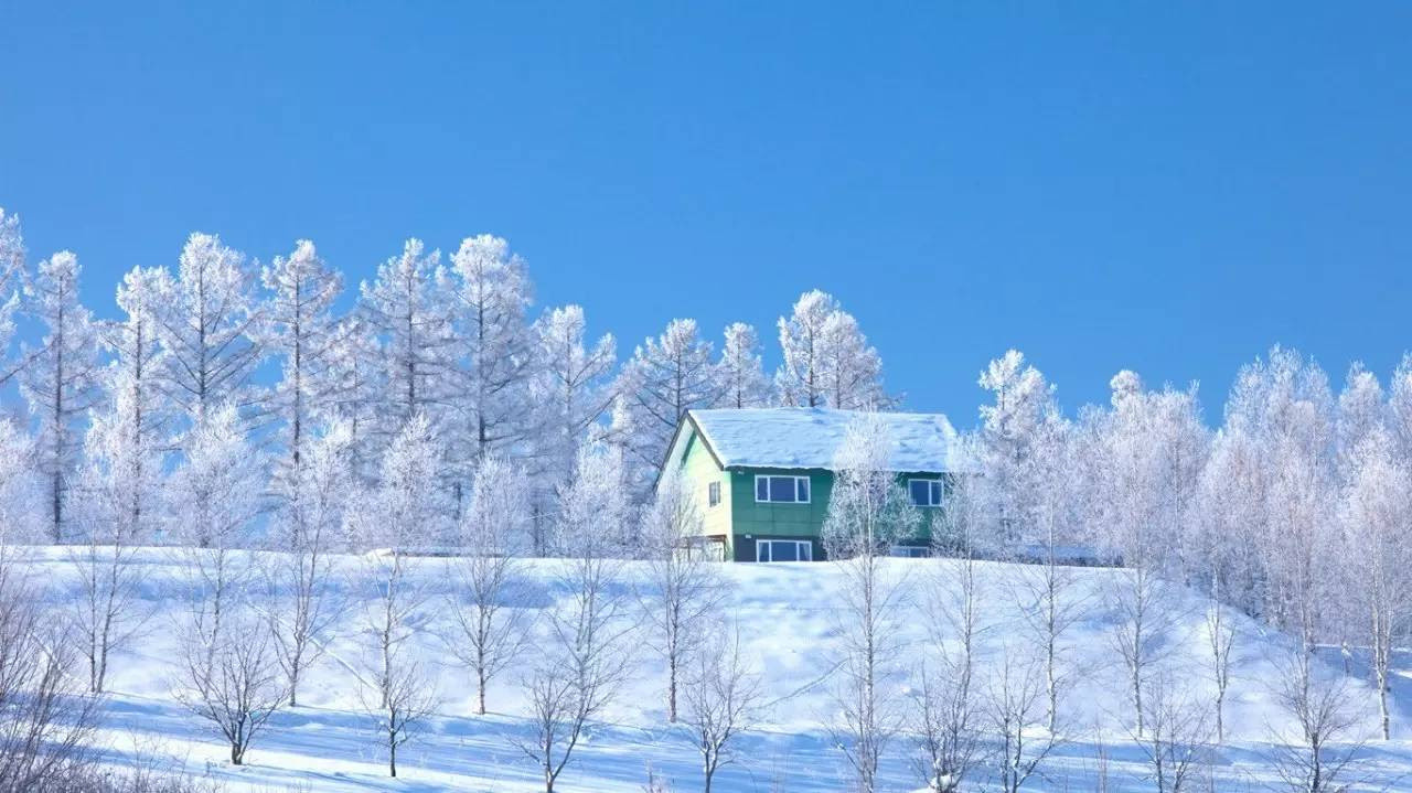 北海道雪景高清壁纸 万图壁纸网