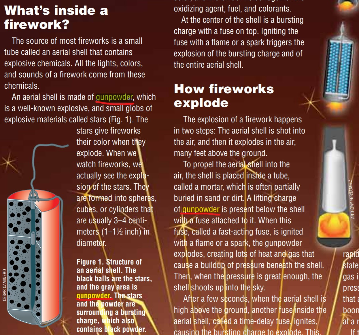 火薬は英語で何て言う Gunpowderで本当に合ってるかネイティブに確認してみた