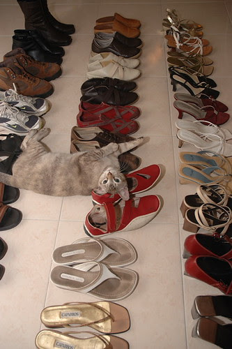 twinkle likes the colour red