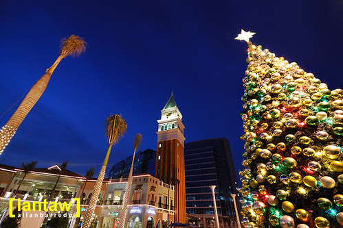 Piazza Christmas Tree