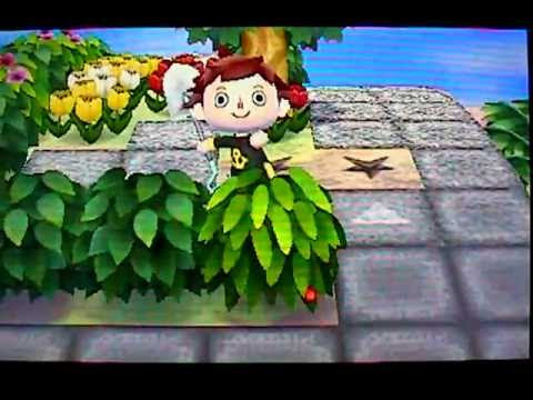 飛び出せどうぶつの森 別世界 裏ワザ Vidoemo Emotional Video Unity