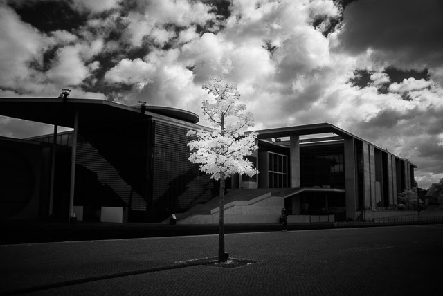 solitude-luka-gorjup-5