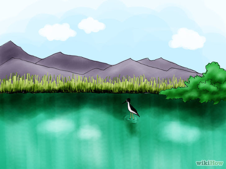 Find Water in the Wilderness Step 07.jpg