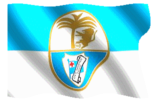 Animated Flags - Bandiere animate - Squadre di Calcio S