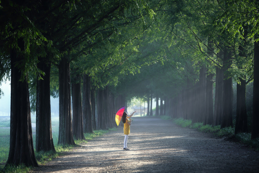 500px favs, rg443