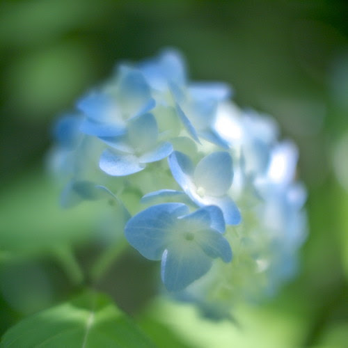 _6118031