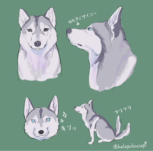 イメージ