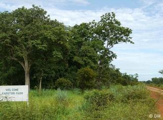 The Gambella farm in Ethiopia