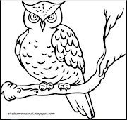 18+ Inspirasi Terbaru Sketsa Gambar Burung Hantu