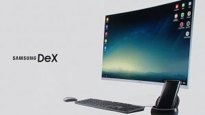 DeX