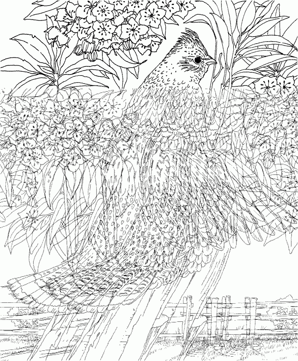 Download Coloring Pages For Adults Nature - Coloring Home