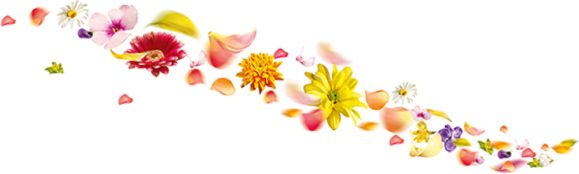 Generelle Seitenstruktur - Blumen Hägele - Ulrike Wegert