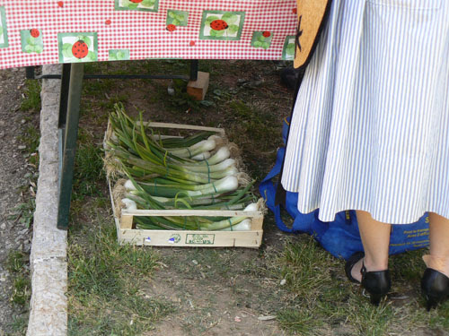 cébettes et costumes.jpg