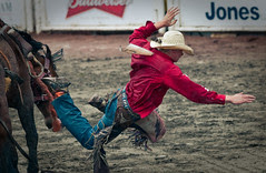 Saddlebronc