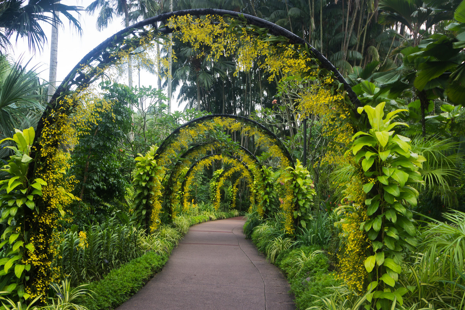 At Singapore Botanic Gardens