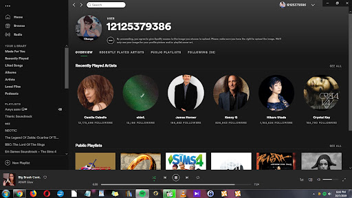 Spotify Web Developer