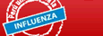 Todo sobre la Influenza - Gripe A (H1N1) - Gripe Porcina