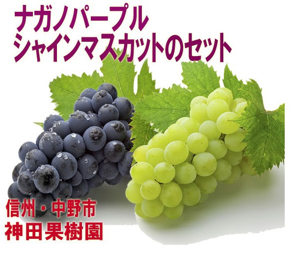 ナガノパープルとシャインマスカットはどちらがおいしい ナガノパープルを通販でオトクに購入して10倍美味しく食べる方法