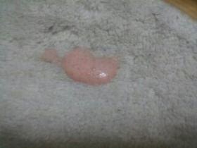 リンケージ マーク マキシム 猫 胃液 ピンク Authorkathryngardner Com