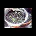How To Start Growing / How to choose the best led grow lights the benefits of using an indoor marijuana grow tent comparing led vs hps lights growing cannabis in space buckets how marijuana benefits the bees setting up.