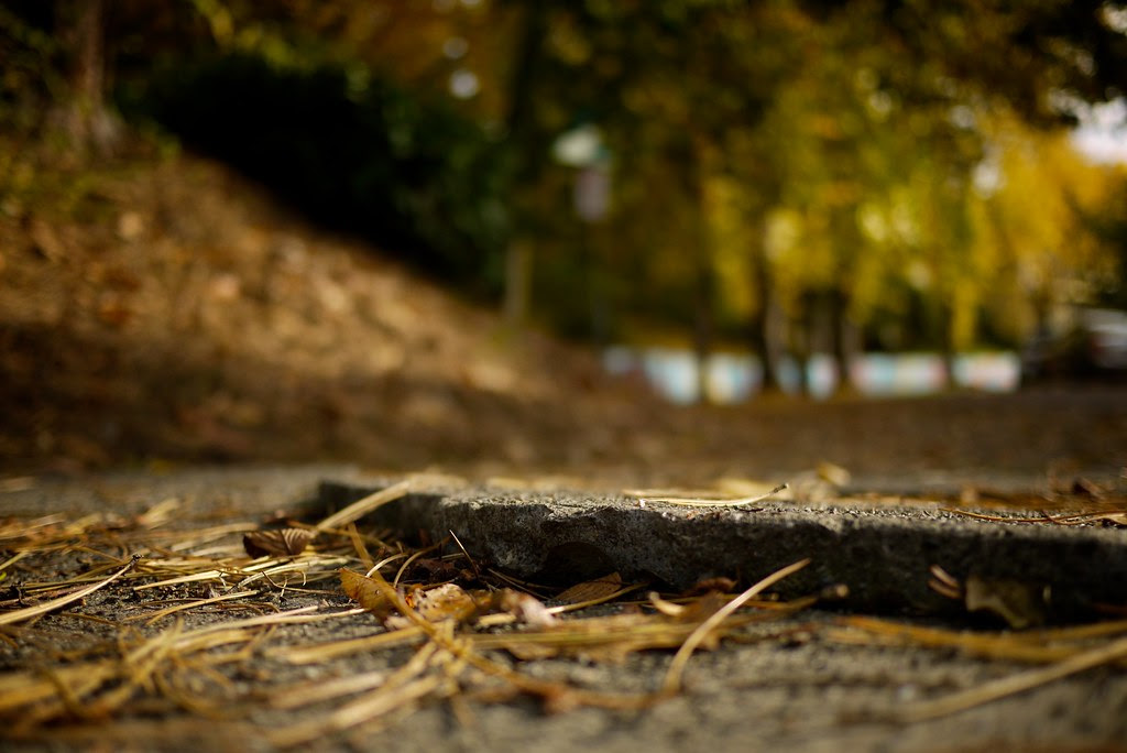 Neighborhood Tectonics