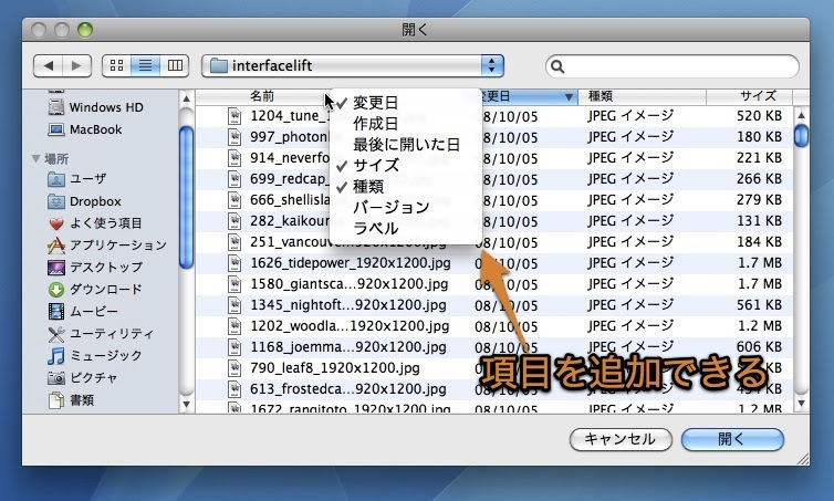 Macの 開く 保存 ダイアログで リスト表示の項目を増やす隠れ技 Inforati