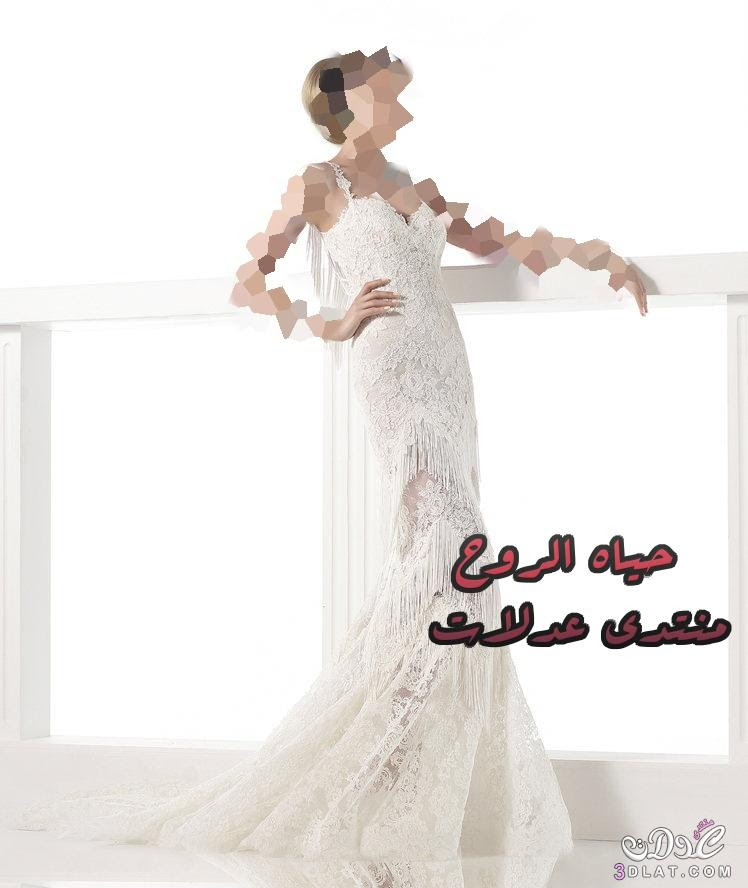 صور فساتين أعراس2016,موديلات وتصاميم عالميه وعصريه من فساتين العرائس 2016