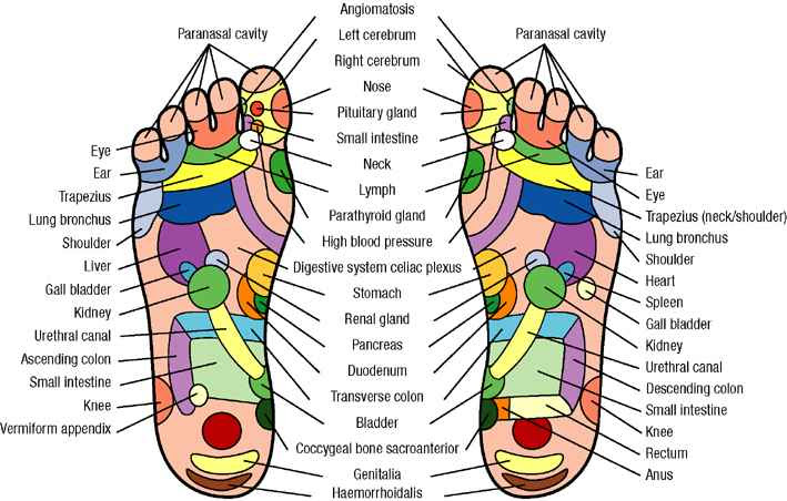 Reflexology is also an excellent diagnostic tool as the hands and feet 