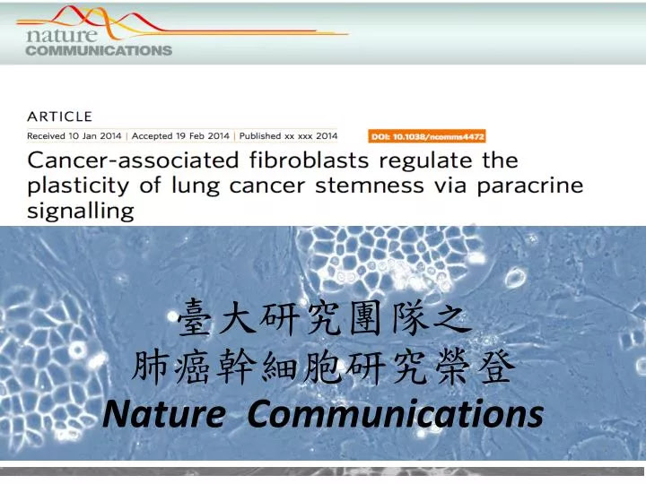 PPT  臺大研究 團隊之 肺癌幹細胞研究榮登 Nature Communications PowerPoint Presentation  ID:6491118