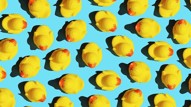 TN Church Uses Rubber Ducks to Reach Hundreds of Jeep Owners with the Gospel: 'He Uses Anything'