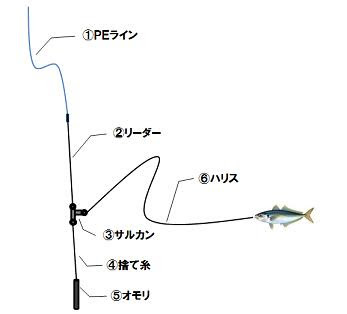 Stay Gold 秘境 トカラ列島遠征 16