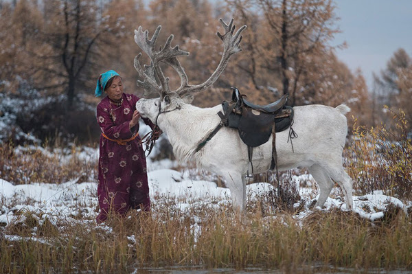 Perierga.gr-Εκπληκτικές φωτογραφίες από τους Νομάδες της Μογγολίας