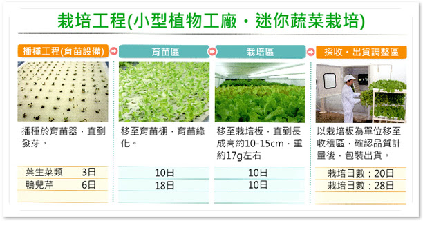 栽培技術介紹 Hoags Inc