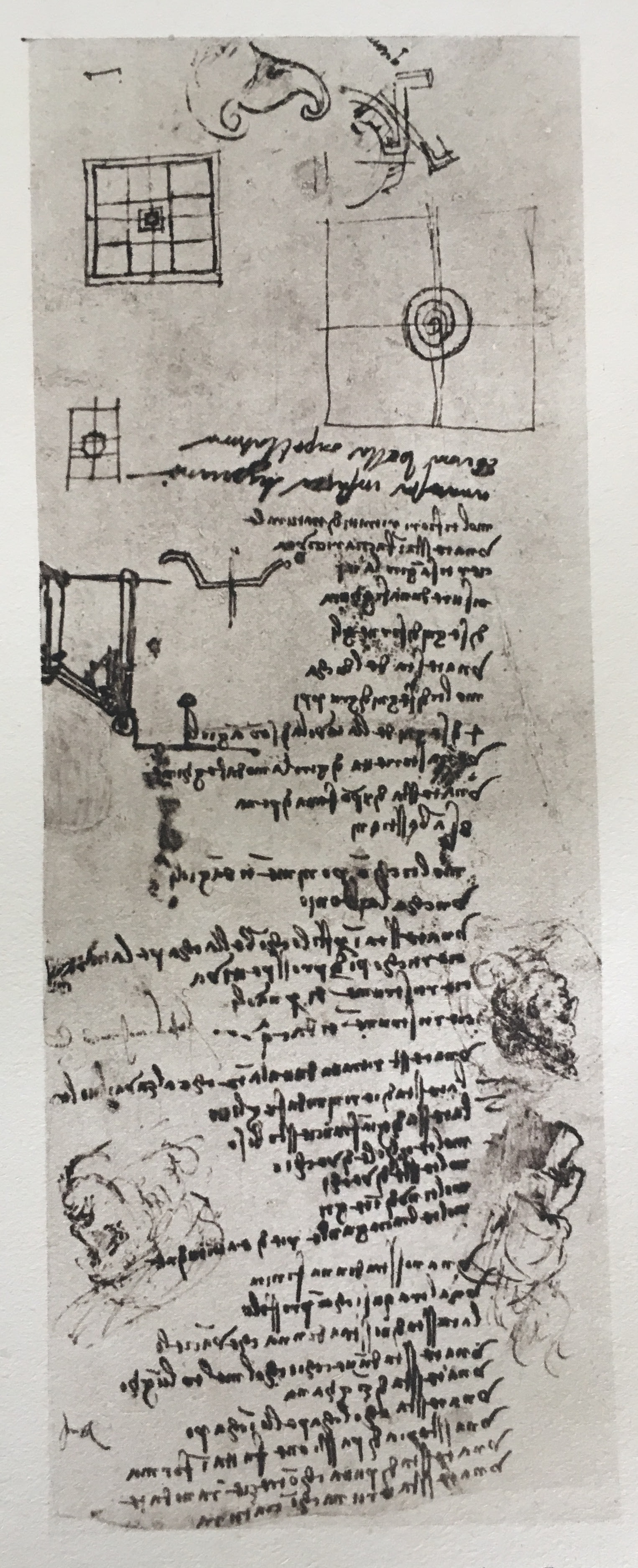 Il curriculum di Leonardo da Vinci. Una lettura moderna ...