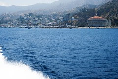 Catalina0706_0011_edited-1