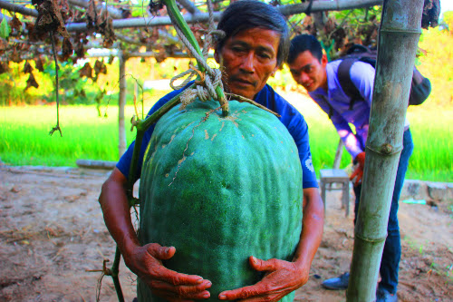 ngoi-lang-chuyen-trong-bi-dao-khong-lo